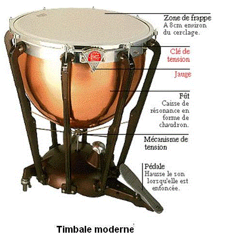 Timbale moderne